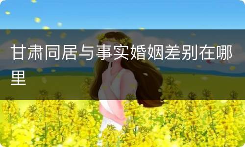 甘肃同居与事实婚姻差别在哪里