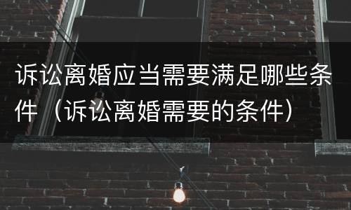 诉讼离婚应当需要满足哪些条件（诉讼离婚需要的条件）