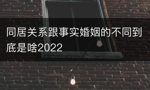 同居关系跟事实婚姻的不同到底是啥2022