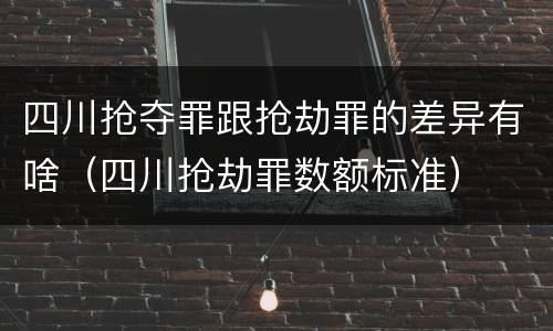 四川抢夺罪跟抢劫罪的差异有啥（四川抢劫罪数额标准）