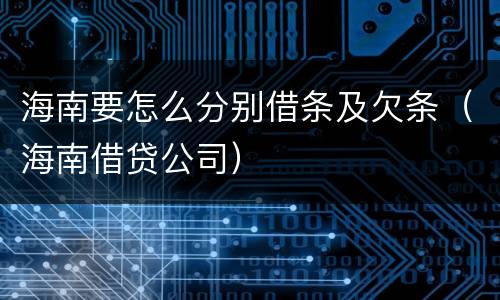 海南要怎么分别借条及欠条（海南借贷公司）