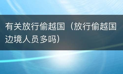 有关放行偷越国（放行偷越国边境人员多吗）