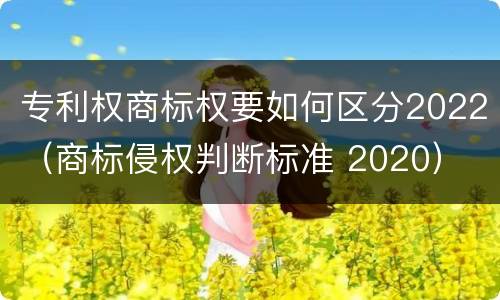 专利权商标权要如何区分2022（商标侵权判断标准 2020）