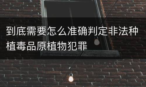 到底需要怎么准确判定非法种植毒品原植物犯罪