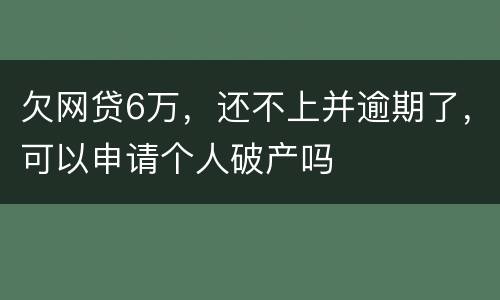 欠网贷6万，还不上并逾期了，可以申请个人破产吗