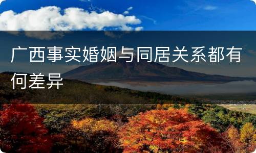 广西事实婚姻与同居关系都有何差异