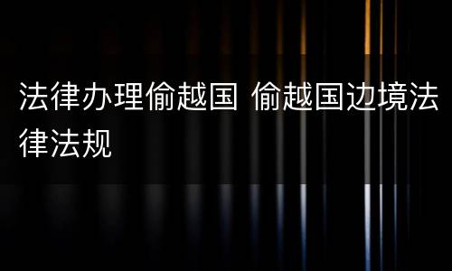 法律办理偷越国 偷越国边境法律法规