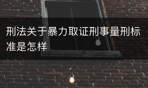 刑法关于暴力取证刑事量刑标准是怎样