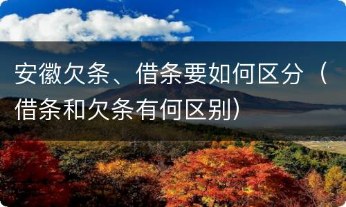 安徽欠条、借条要如何区分（借条和欠条有何区别）