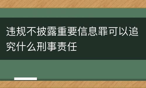 违规不披露重要信息罪可以追究什么刑事责任