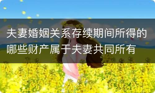 夫妻婚姻关系存续期间所得的哪些财产属于夫妻共同所有