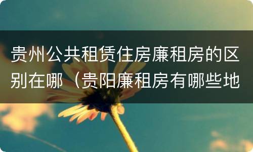 贵州公共租赁住房廉租房的区别在哪（贵阳廉租房有哪些地方）