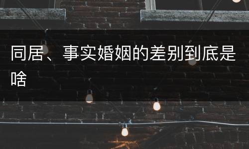 同居、事实婚姻的差别到底是啥