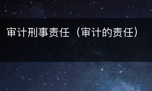 审计刑事责任（审计的责任）