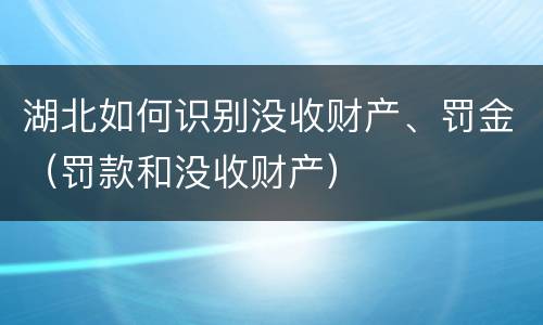 湖北如何识别没收财产、罚金（罚款和没收财产）