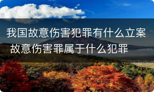 我国故意伤害犯罪有什么立案 故意伤害罪属于什么犯罪