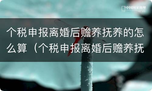 个税申报离婚后赡养抚养的怎么算（个税申报离婚后赡养抚养的怎么算呢）