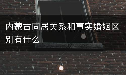 内蒙古同居关系和事实婚姻区别有什么