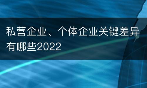私营企业、个体企业关键差异有哪些2022