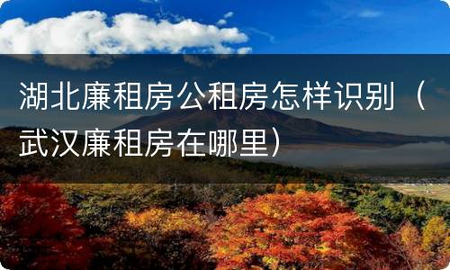 湖北廉租房公租房怎样识别（武汉廉租房在哪里）