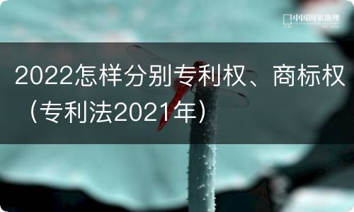 2022怎样分别专利权、商标权（专利法2021年）