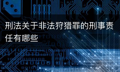 刑法关于非法狩猎罪的刑事责任有哪些