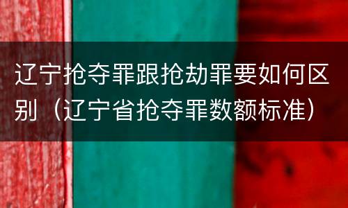 辽宁抢夺罪跟抢劫罪要如何区别（辽宁省抢夺罪数额标准）