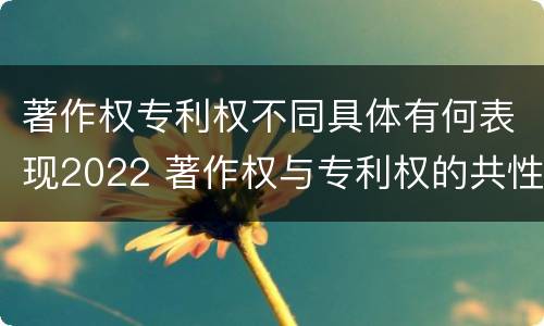 著作权专利权不同具体有何表现2022 著作权与专利权的共性有