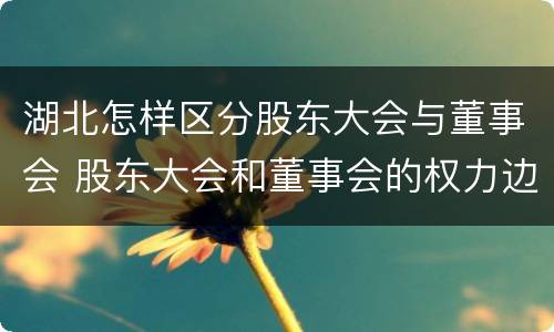 湖北怎样区分股东大会与董事会 股东大会和董事会的权力边界