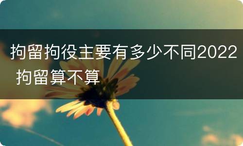 拘留拘役主要有多少不同2022 拘留算不算