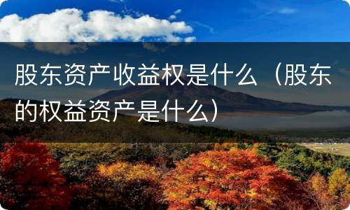 股东资产收益权是什么（股东的权益资产是什么）
