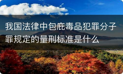 我国法律中包庇毒品犯罪分子罪规定的量刑标准是什么