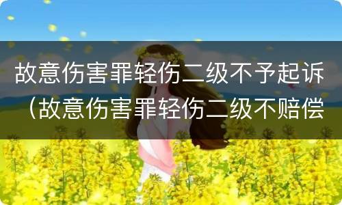 故意伤害罪轻伤二级不予起诉（故意伤害罪轻伤二级不赔偿会咋样）