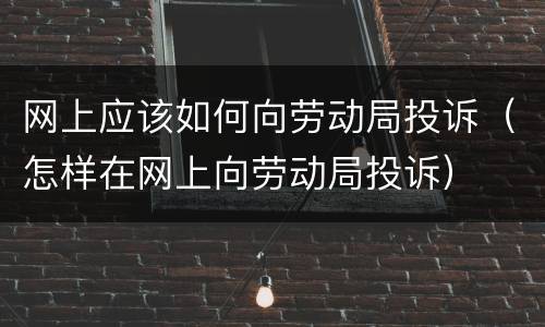 网上应该如何向劳动局投诉（怎样在网上向劳动局投诉）