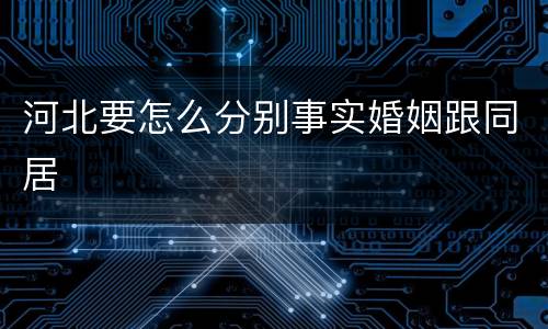 河北要怎么分别事实婚姻跟同居
