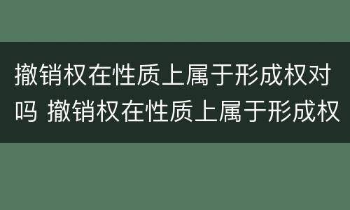 撤销权在性质上属于形成权对吗 撤销权在性质上属于形成权对吗对吗