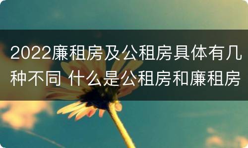 2022廉租房及公租房具体有几种不同 什么是公租房和廉租房