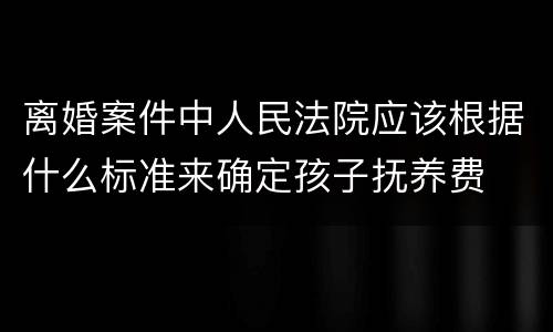 离婚案件中人民法院应该根据什么标准来确定孩子抚养费