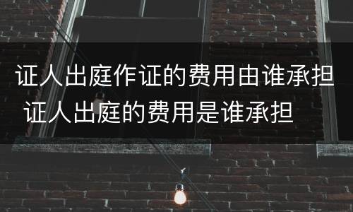 证人出庭作证的费用由谁承担 证人出庭的费用是谁承担