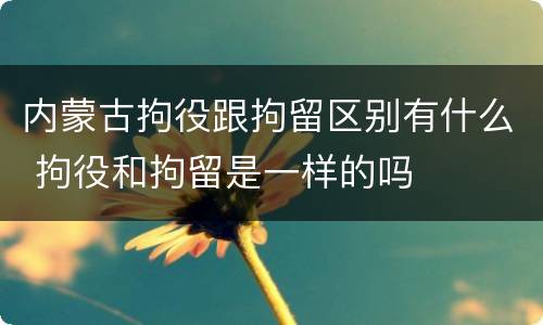 内蒙古拘役跟拘留区别有什么 拘役和拘留是一样的吗