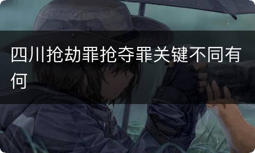 四川抢劫罪抢夺罪关键不同有何