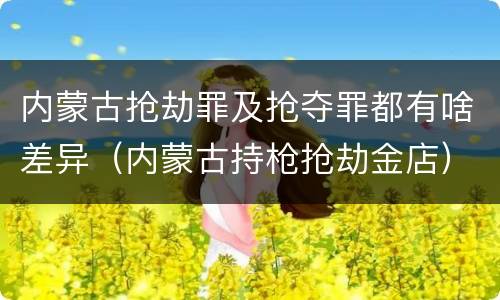 内蒙古抢劫罪及抢夺罪都有啥差异（内蒙古持枪抢劫金店）