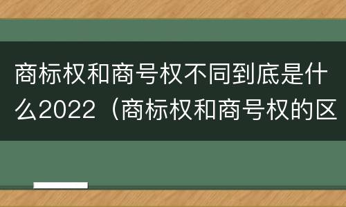 商标权和商号权不同到底是什么2022（商标权和商号权的区别）
