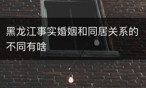 黑龙江事实婚姻和同居关系的不同有啥