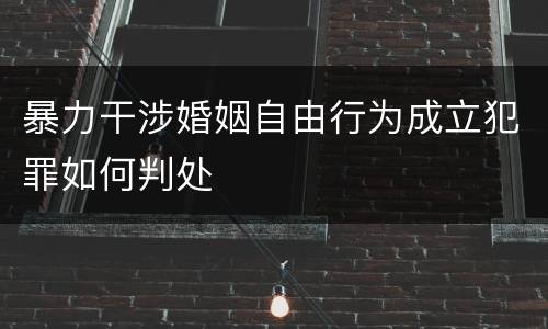 暴力干涉婚姻自由行为成立犯罪如何判处