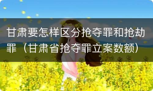 甘肃要怎样区分抢夺罪和抢劫罪（甘肃省抢夺罪立案数额）