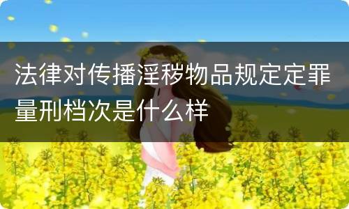 法律对传播淫秽物品规定定罪量刑档次是什么样