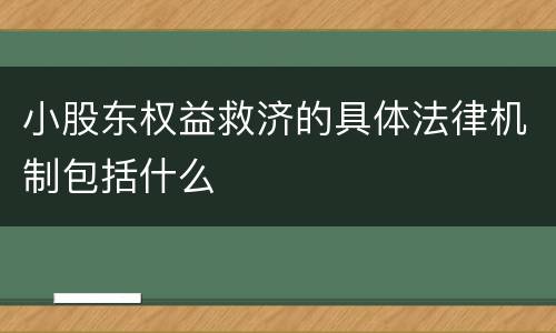 小股东权益救济的具体法律机制包括什么