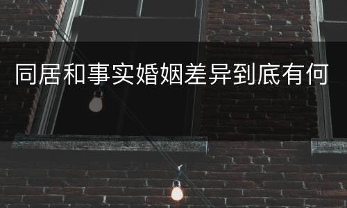 同居和事实婚姻差异到底有何