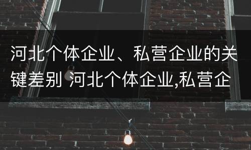 河北个体企业、私营企业的关键差别 河北个体企业,私营企业的关键差别有哪些